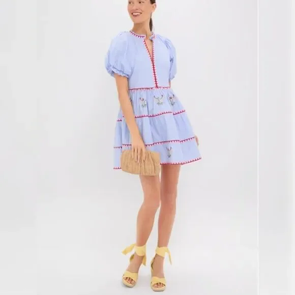 NWT Hyacinth House - S - Blue Pinstripe Embroidered V-Neck Lillian Mini Dress - Picture 1 of 8